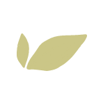 kdl_apropos_icon_ecologique